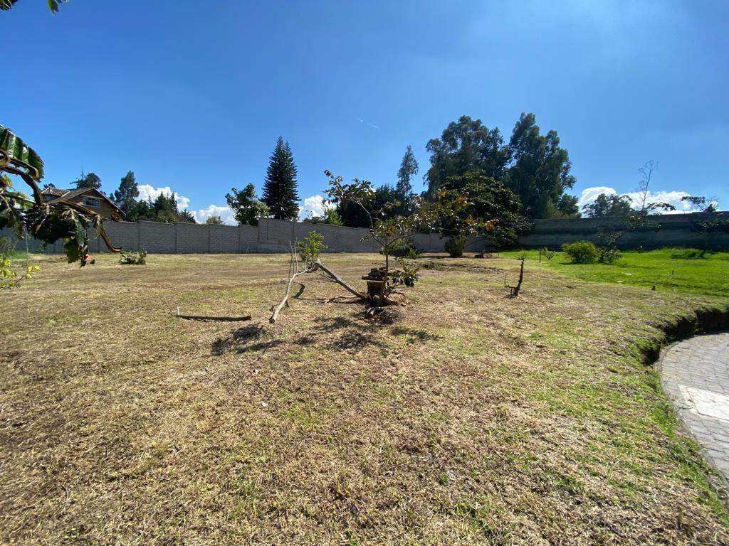 Venta Terreno Sector Tumbaco — imagen 10