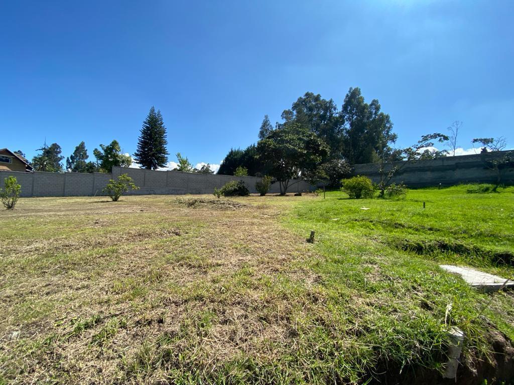 Venta Terreno Sector Tumbaco — imagen 9