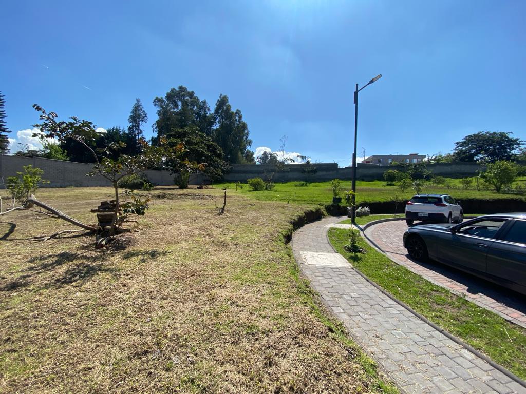 Venta Terreno Sector Tumbaco — imagen 8