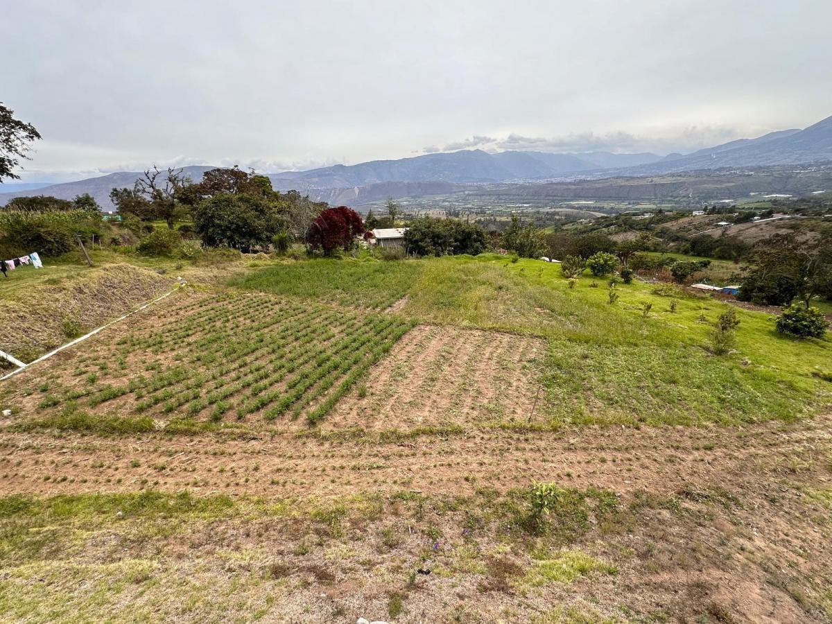 Terreno con Hotel y Restaurante Excelente Ubicación, Imbabura — imagen 8