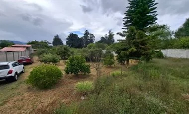 Terreno en venta en El Quinche — imagen 4