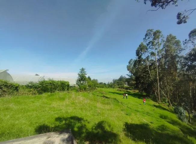 Terreno en venta en El Quinche — imagen 2