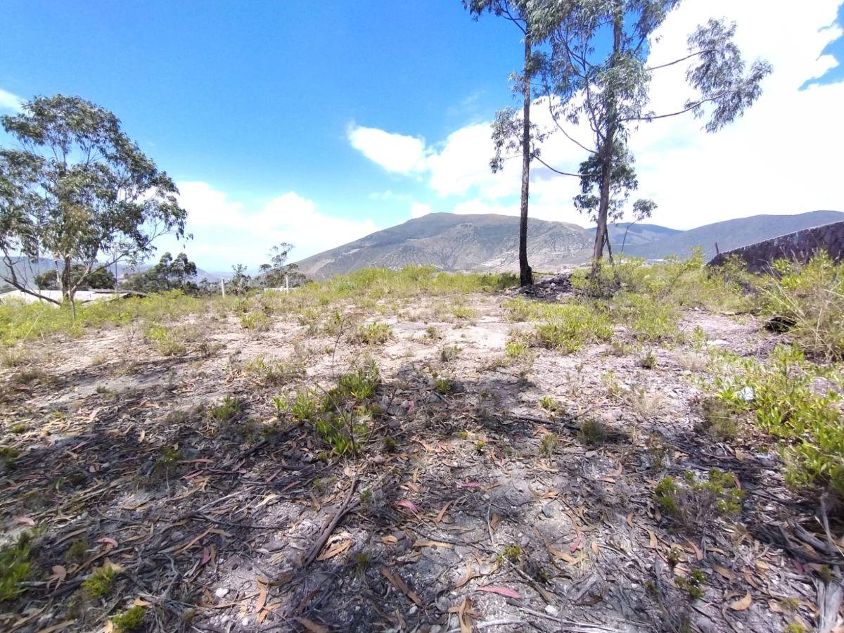 En Venta Terreno Oportunidad, Urb La Marca, San Antonio de Pichincha — imagen 10