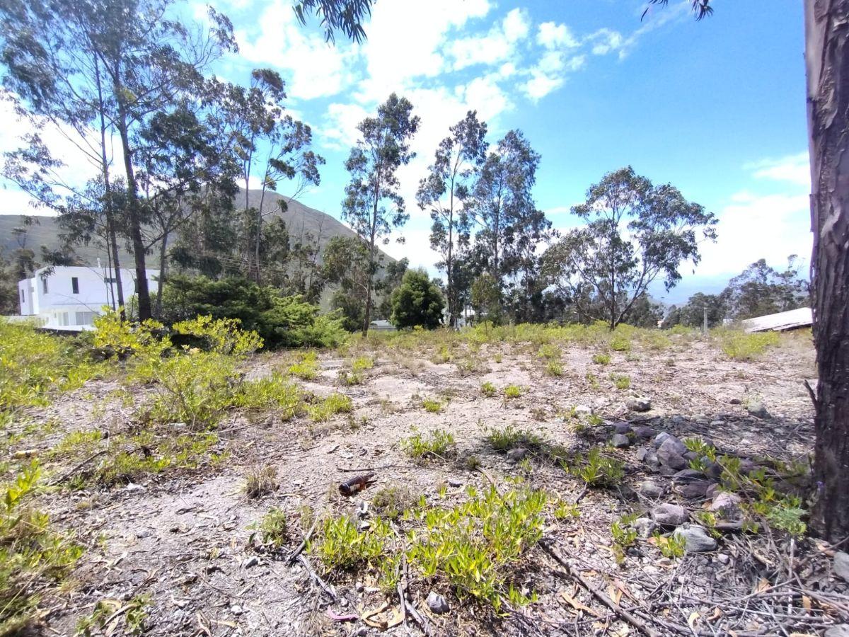 En Venta Terreno Oportunidad, Urb La Marca, San Antonio de Pichincha — imagen 8