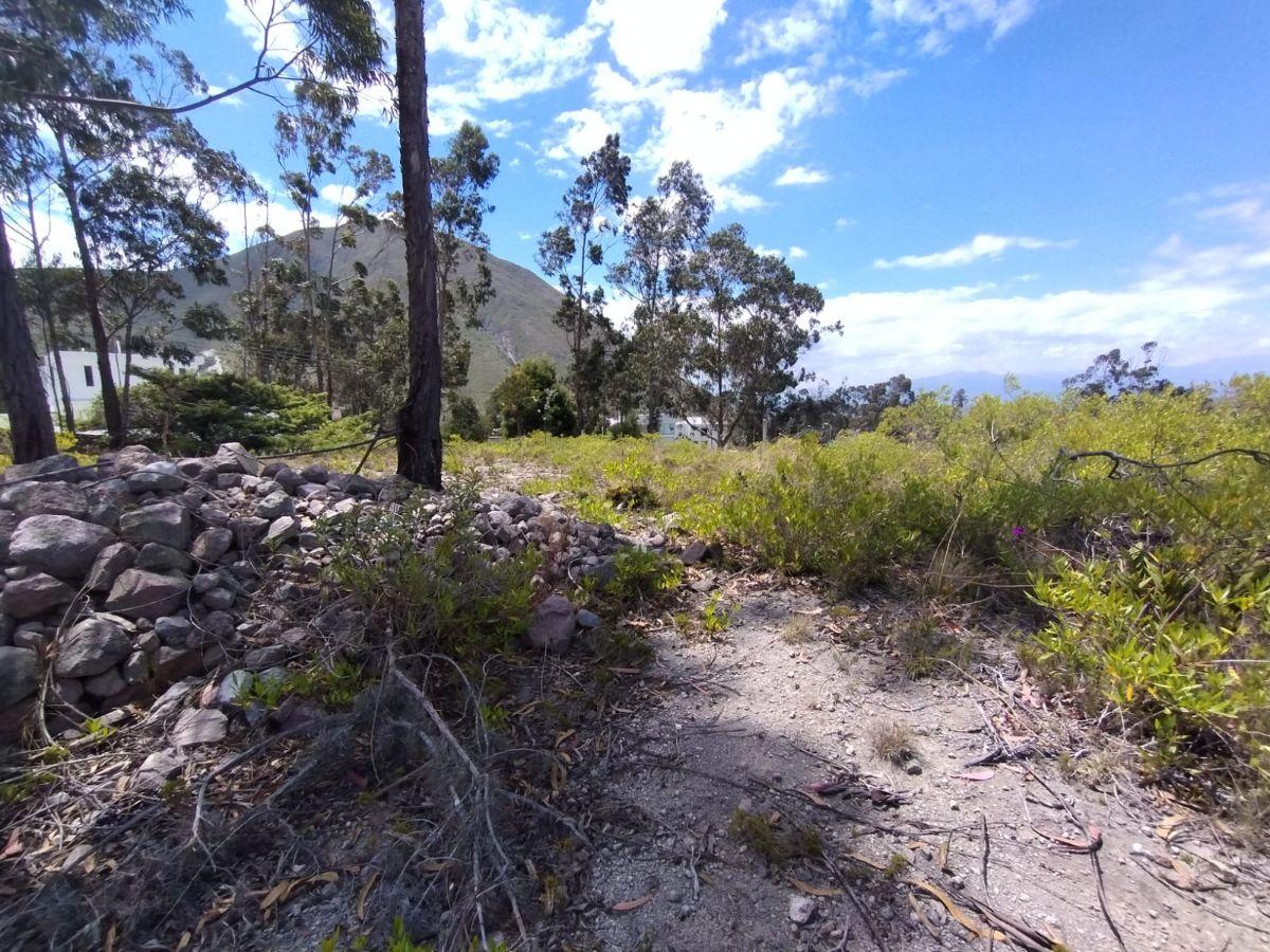 En Venta Terreno Oportunidad, Urb La Marca, San Antonio de Pichincha — imagen 7