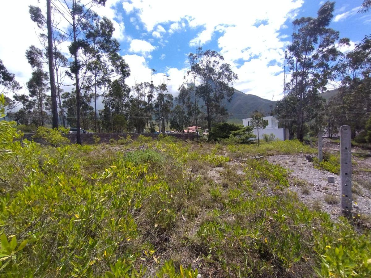 En Venta Terreno Oportunidad, Urb La Marca, San Antonio de Pichincha — imagen 6
