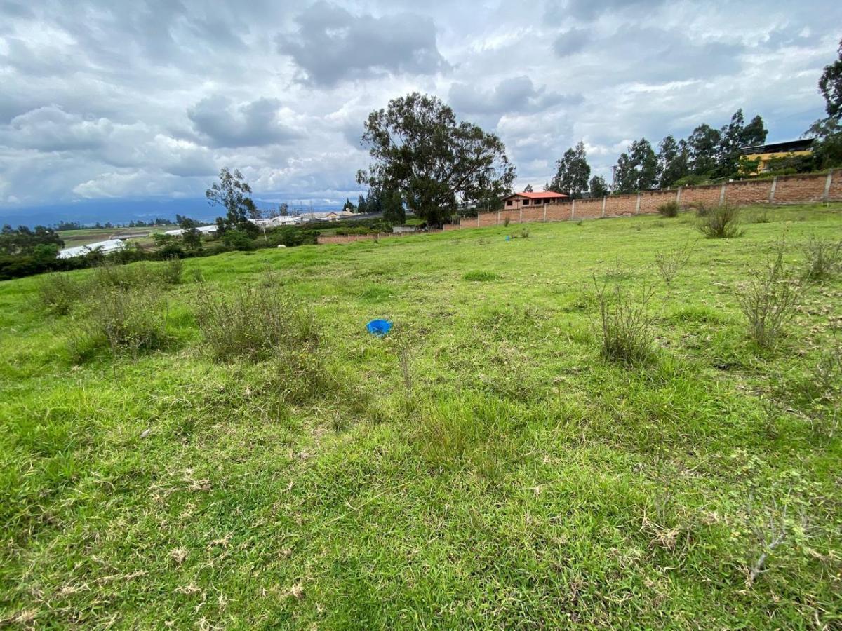 Terreno de Venta en Pifo — imagen 7
