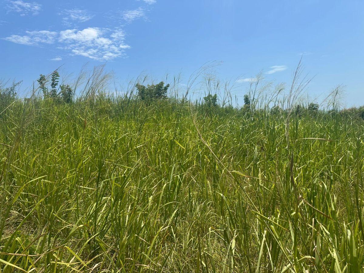 Terreno de Venta en Chevele, Tonsupa — imagen 8