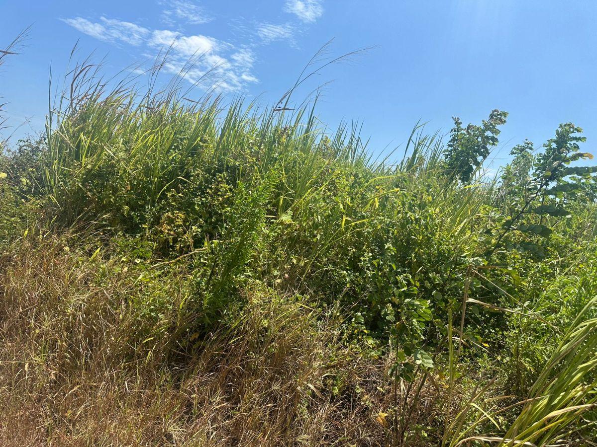 Terreno de Venta en Chevele, Tonsupa — imagen 7