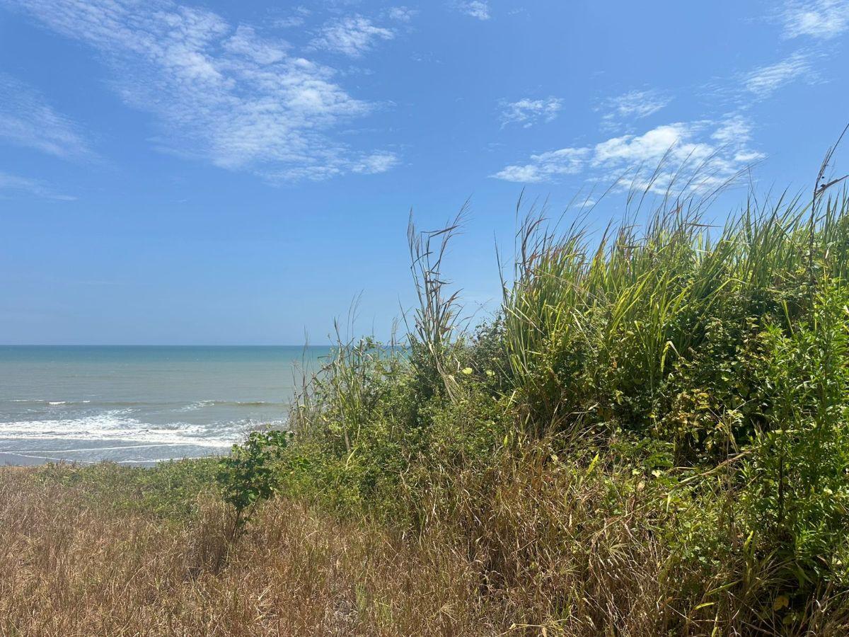 Terreno de Venta en Chevele, Tonsupa — imagen 6