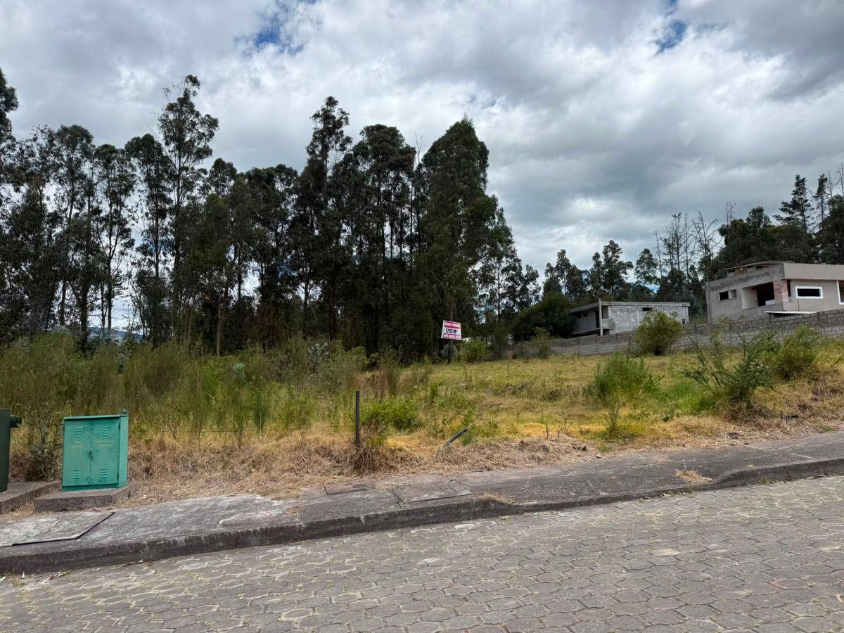 Lote en Venta – 1.713 m² en un Entorno de Paz y Naturaleza — imagen 6