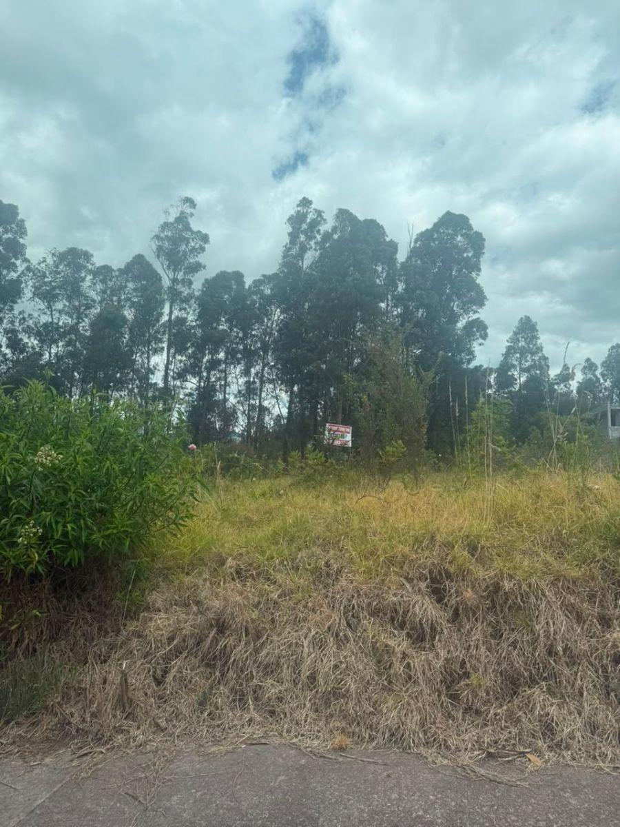 Lote en Venta – 1.713 m² en un Entorno de Paz y Naturaleza — imagen 2