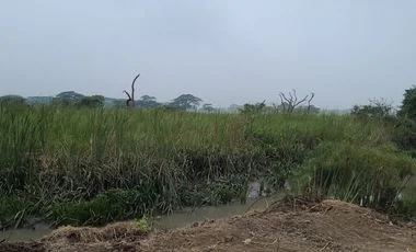 Terreno en venta en Manta — imagen 5