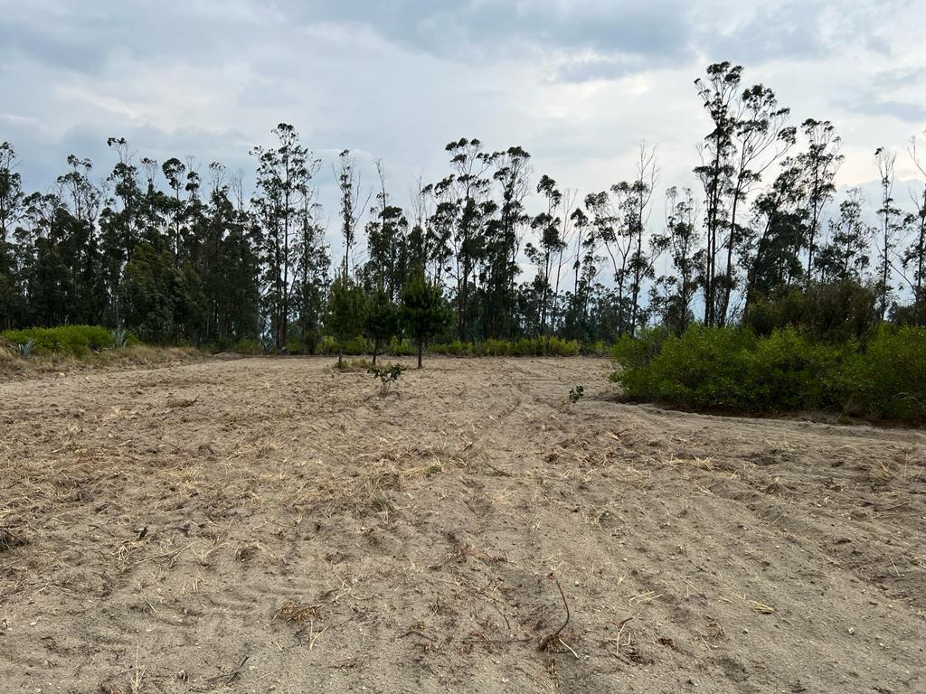Oportunidad Terreno 7839 m² en $70.000 Malchingui — imagen 7