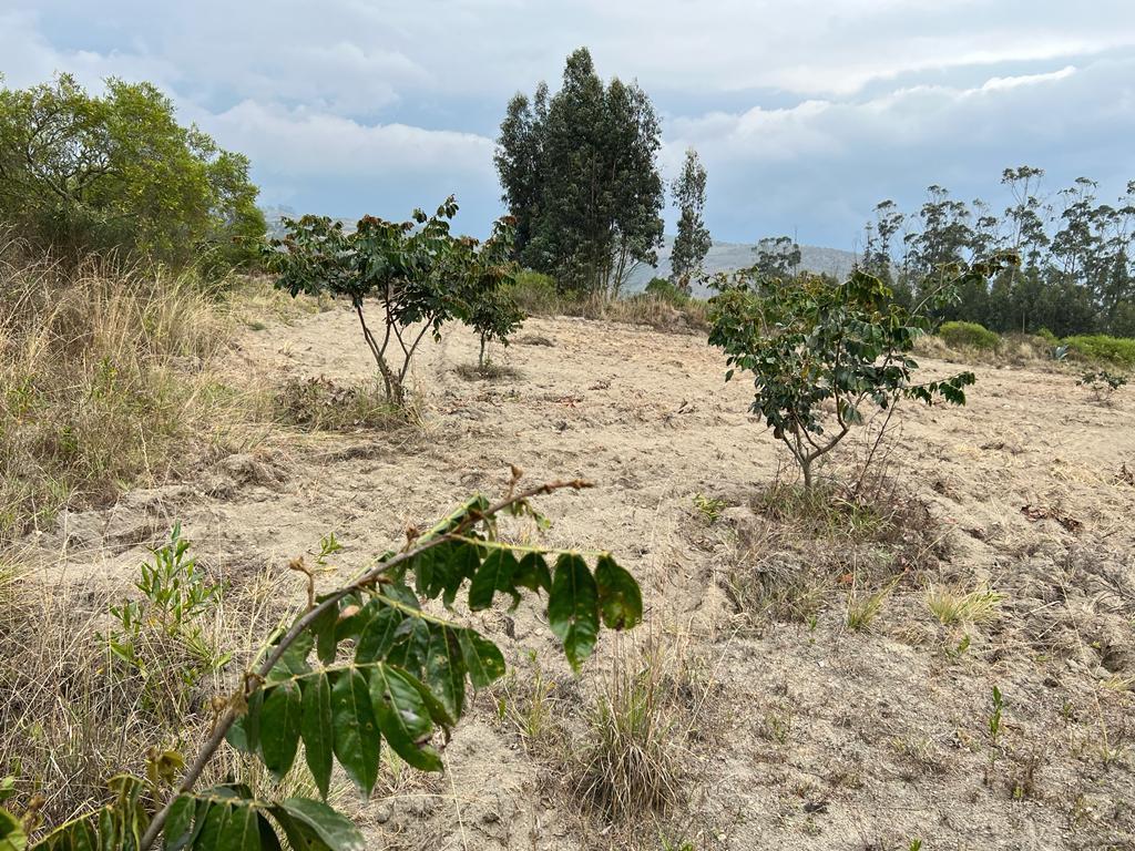 Oportunidad Terreno 7839 m² en $70.000 Malchingui — imagen 4
