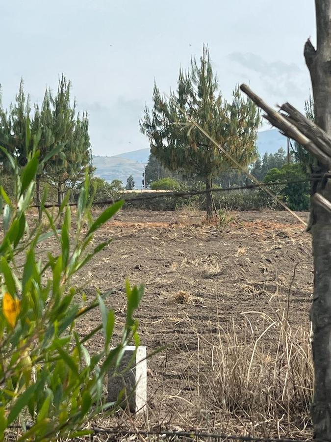 Oportunidad Terreno 7839 m² en $70.000 Malchingui — imagen 3