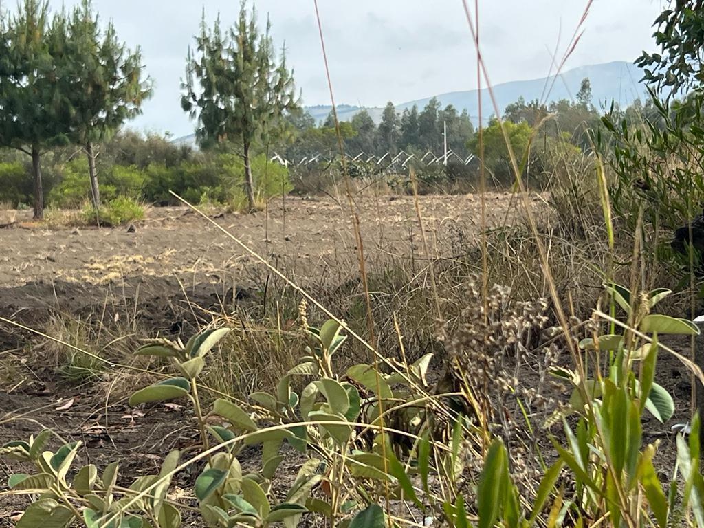 Oportunidad Terreno 7839 m² en $70.000 Malchingui — imagen 2