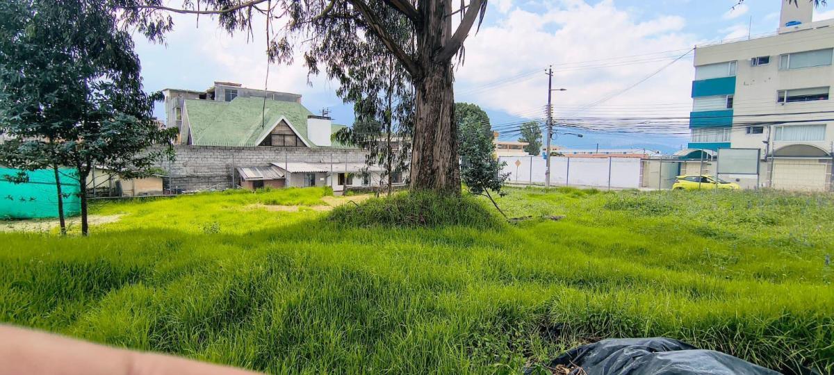 Terreno en Venta — imagen 6