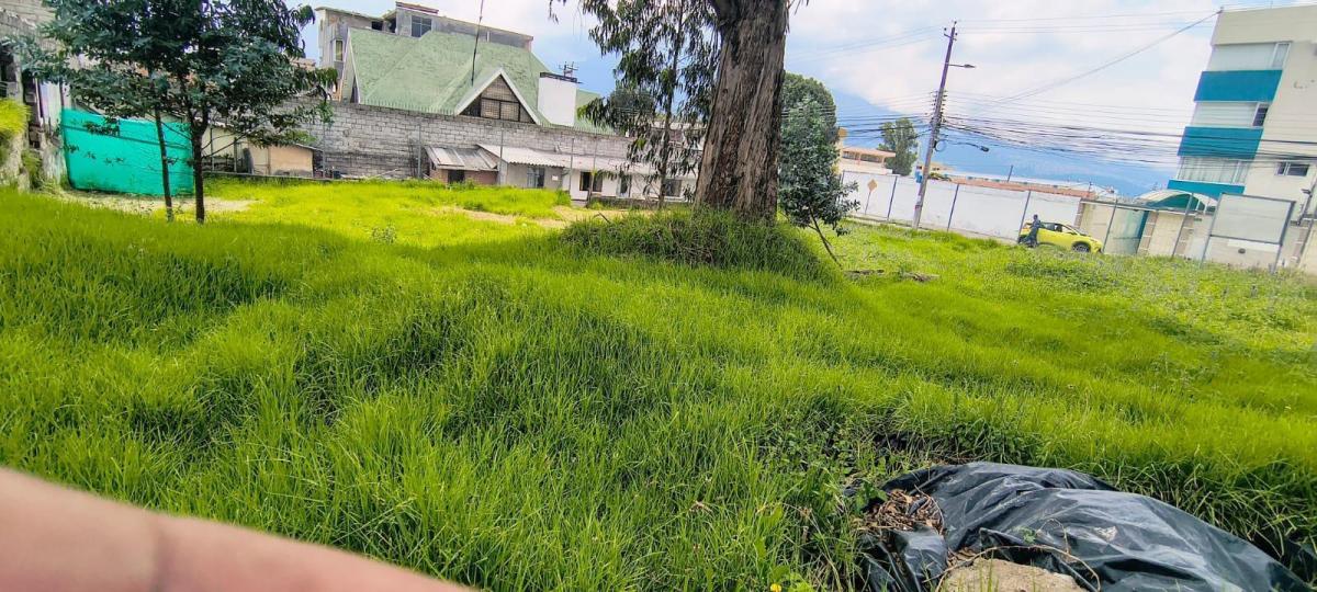 Terreno en Venta — imagen 5