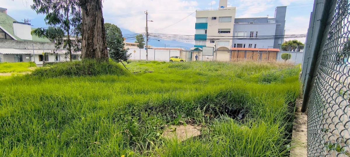 Terreno en Venta — imagen 4