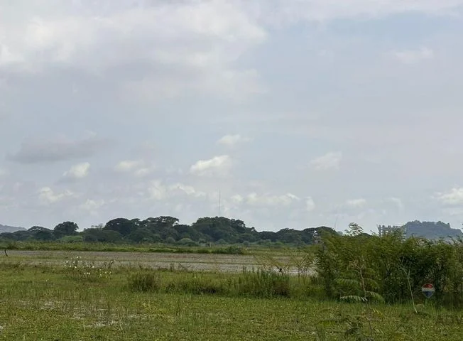 Terreno en venta en Samborondon — imagen 2