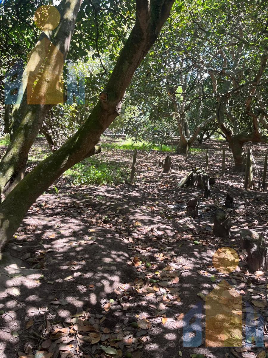 Ct Venta Terreno en Urbanización Privada en Guayllabamba — imagen 2