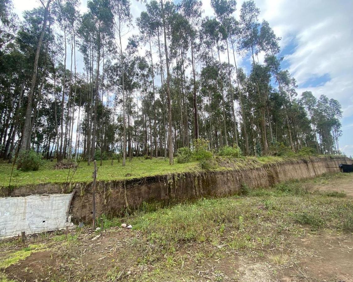 Venta Terreno de 10000 m² en Yaruqui — imagen 8