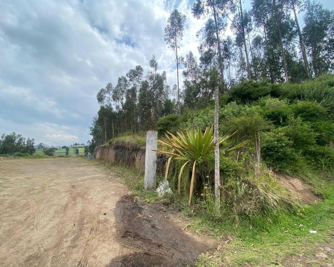 Venta Terreno de 10000 m² en Yaruqui — imagen 7