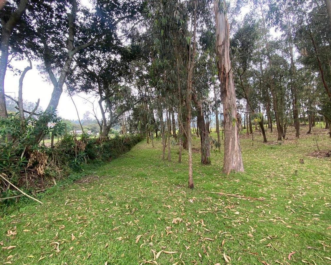 Venta Terreno de 10000 m² en Yaruqui — imagen 6