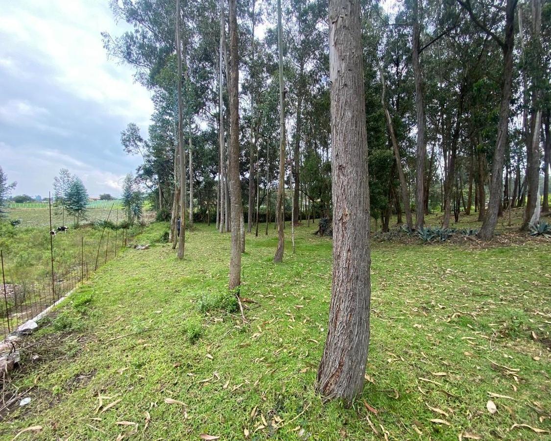 Venta Terreno de 10000 m² en Yaruqui — imagen 5