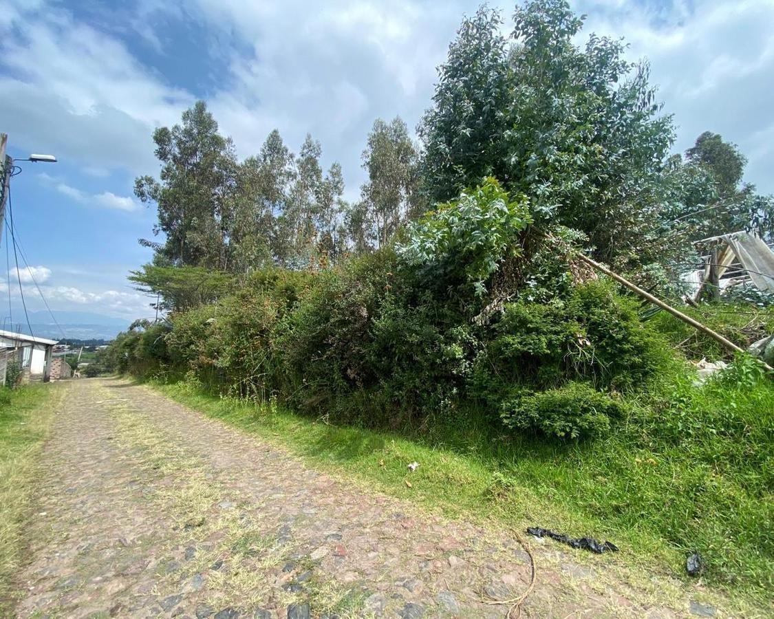 Venta Terreno de 10000 m² en Yaruqui — imagen 4
