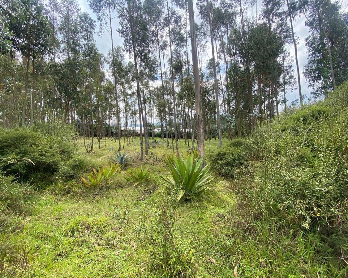 Venta Terreno de 10000 m² en Yaruqui — imagen 3
