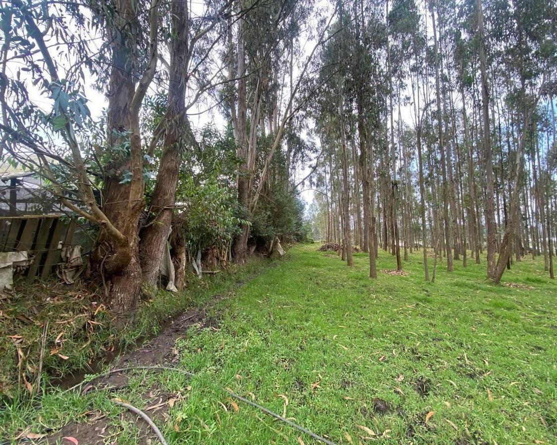 Venta Terreno de 10000 m² en Yaruqui — imagen 2