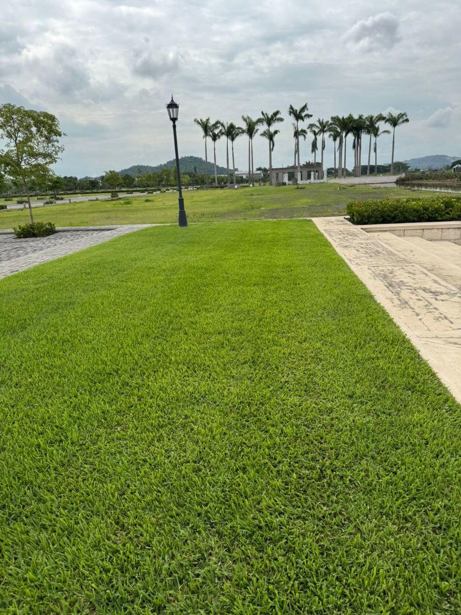 Parques de Batan Terreno Esquinero Al Canal y Al Area Verde, Guayas — imagen 9