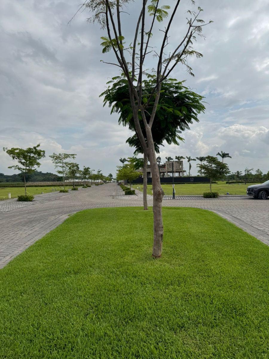 Parques de Batan Terreno Esquinero Al Canal y Al Area Verde, Guayas — imagen 6