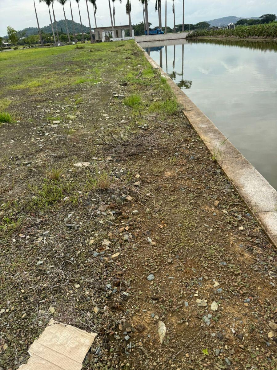 Parques de Batan Terreno Esquinero Al Canal y Al Area Verde, Guayas — imagen 2