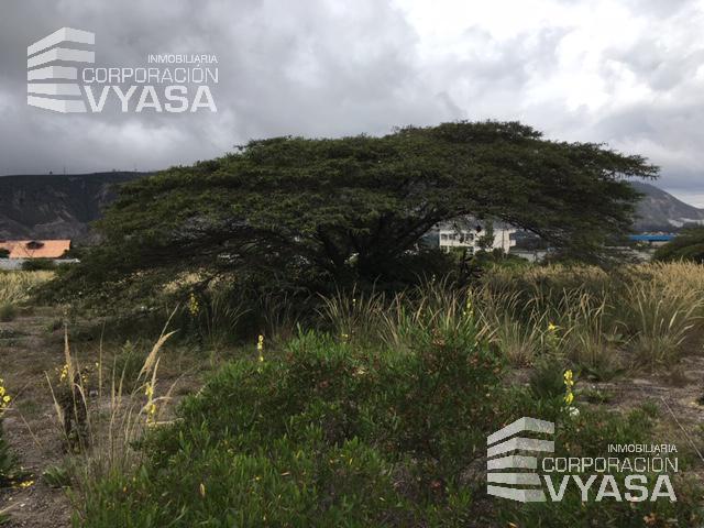 Mitad del Mundo - San Antonio de Pichincha, Terreno de Venta 7.651 m² — imagen 2
