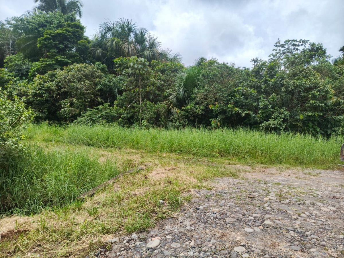 Venta de Terreno de 18,7 Hectáreas en La Joya de Los Sachas – Oportunidad de Inversión en Orellana — imagen 9