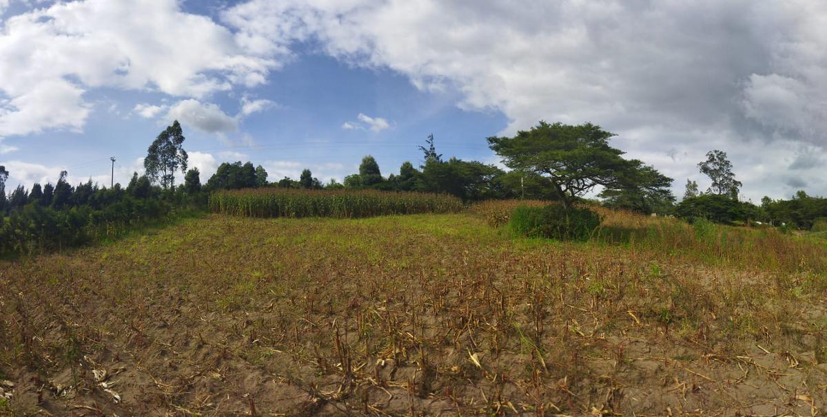Vendo Terreno Campestre, en Urbanización Privada, Norte de Guayllabamba — imagen 10