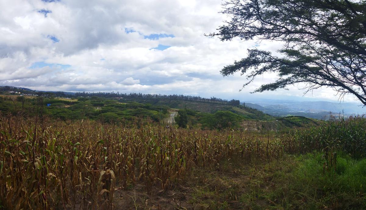 Vendo Terreno Campestre, en Urbanización Privada, Norte de Guayllabamba — imagen 8