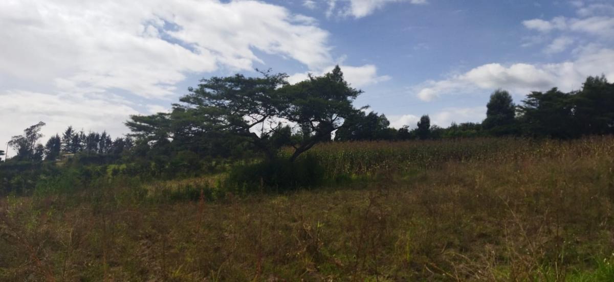 Vendo Terreno Campestre, en Urbanización Privada, Norte de Guayllabamba — imagen 7