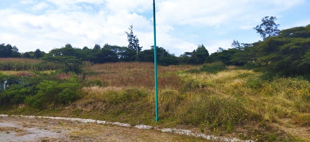 Vendo Terreno Campestre, en Urbanización Privada, Norte de Guayllabamba — imagen 6
