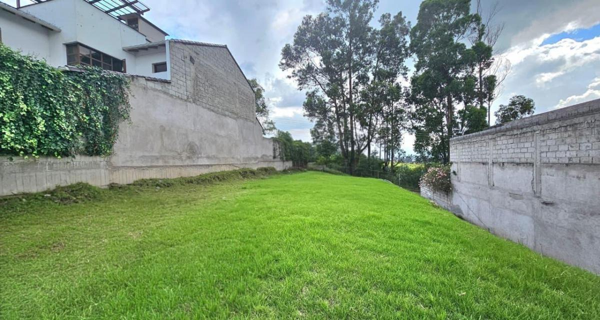 Venta Terreno Dentro de La Urb. San Francisco en Sangolqui — imagen 9