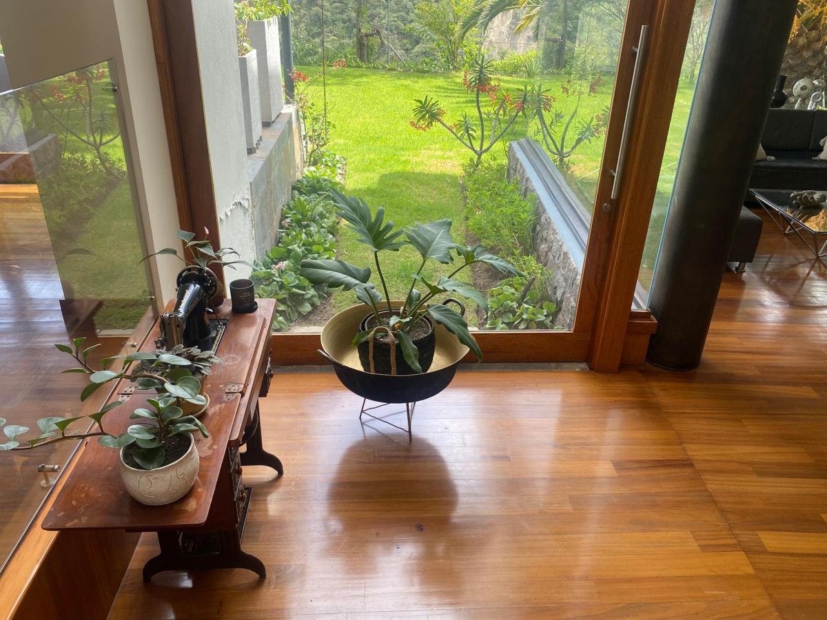 Vendo Fabulosa Casa en Rancho San Francisco 980 m² Terreno, 582 m² Construcción — imagen 6