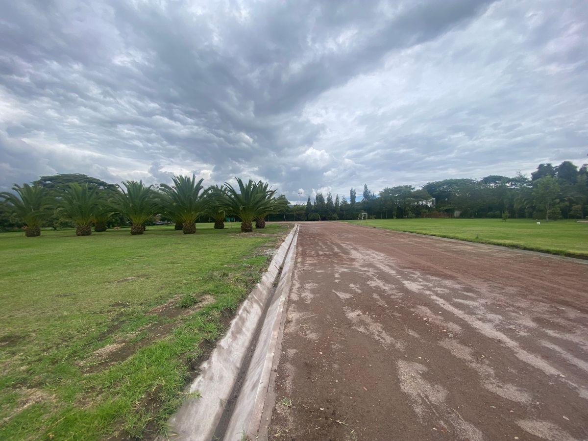 Preciosos Lotes en Urbanización — imagen 8