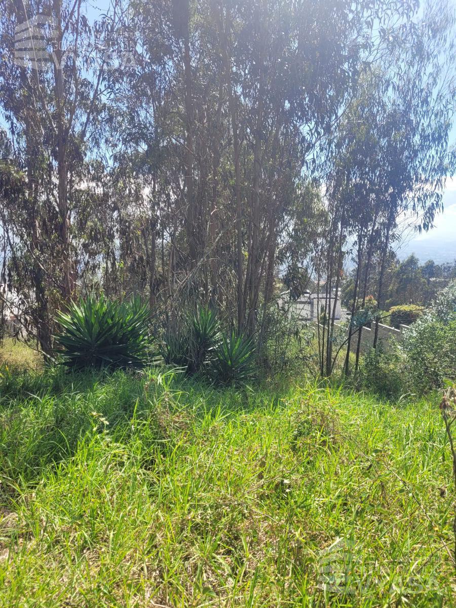 Nayón - Terreno de 1.500 m² en Venta Dentro de Urbanización — imagen 8