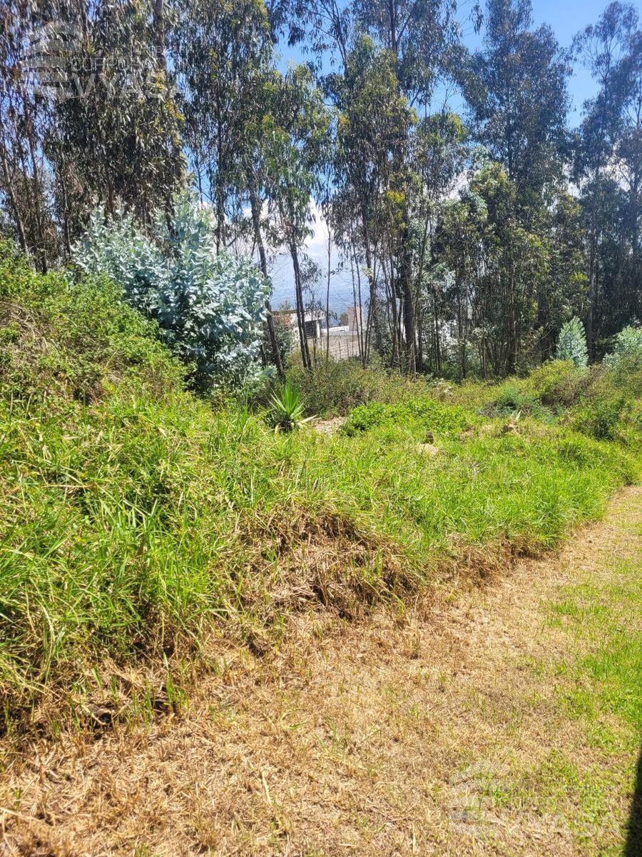 Nayón - Terreno de 1.500 m² en Venta Dentro de Urbanización — imagen 7