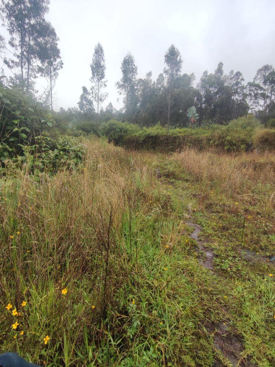 Venta Terreno Casi Plano en Conocoto – Valle de Los Chillos | Oportunidad de Inversión — imagen 7