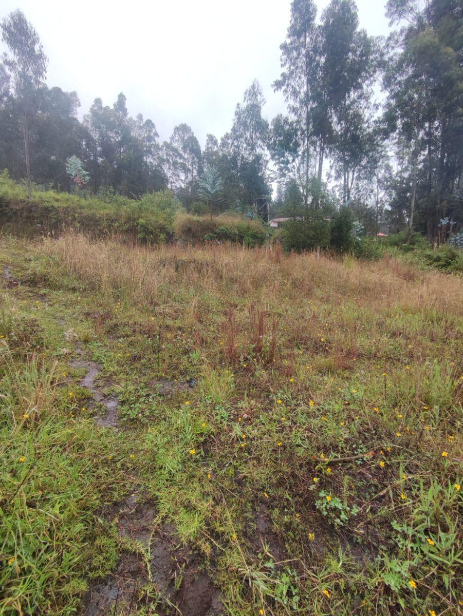 Venta Terreno Casi Plano en Conocoto – Valle de Los Chillos | Oportunidad de Inversión — imagen 6