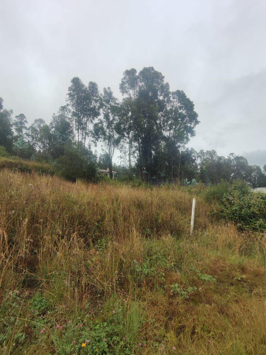 Venta Terreno Casi Plano en Conocoto – Valle de Los Chillos | Oportunidad de Inversión — imagen 4